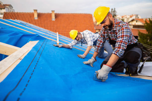 Best Roof Leak Repair  in Cherry Grove, OH