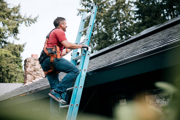 Best Roof Moss and Algae Removal  in Cherry Grove, OH
